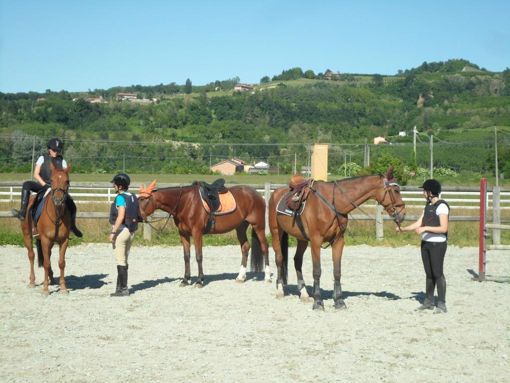 Agriturismo Isorella ケラスコ エクステリア 写真